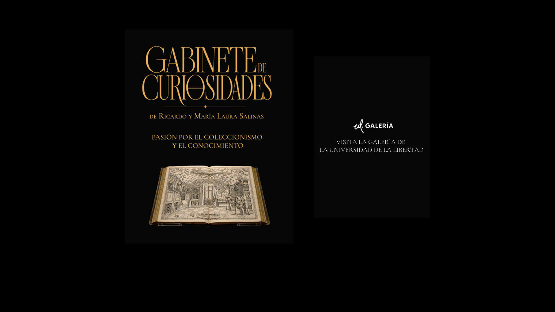 Banner Gabinete curiosidades.jpg