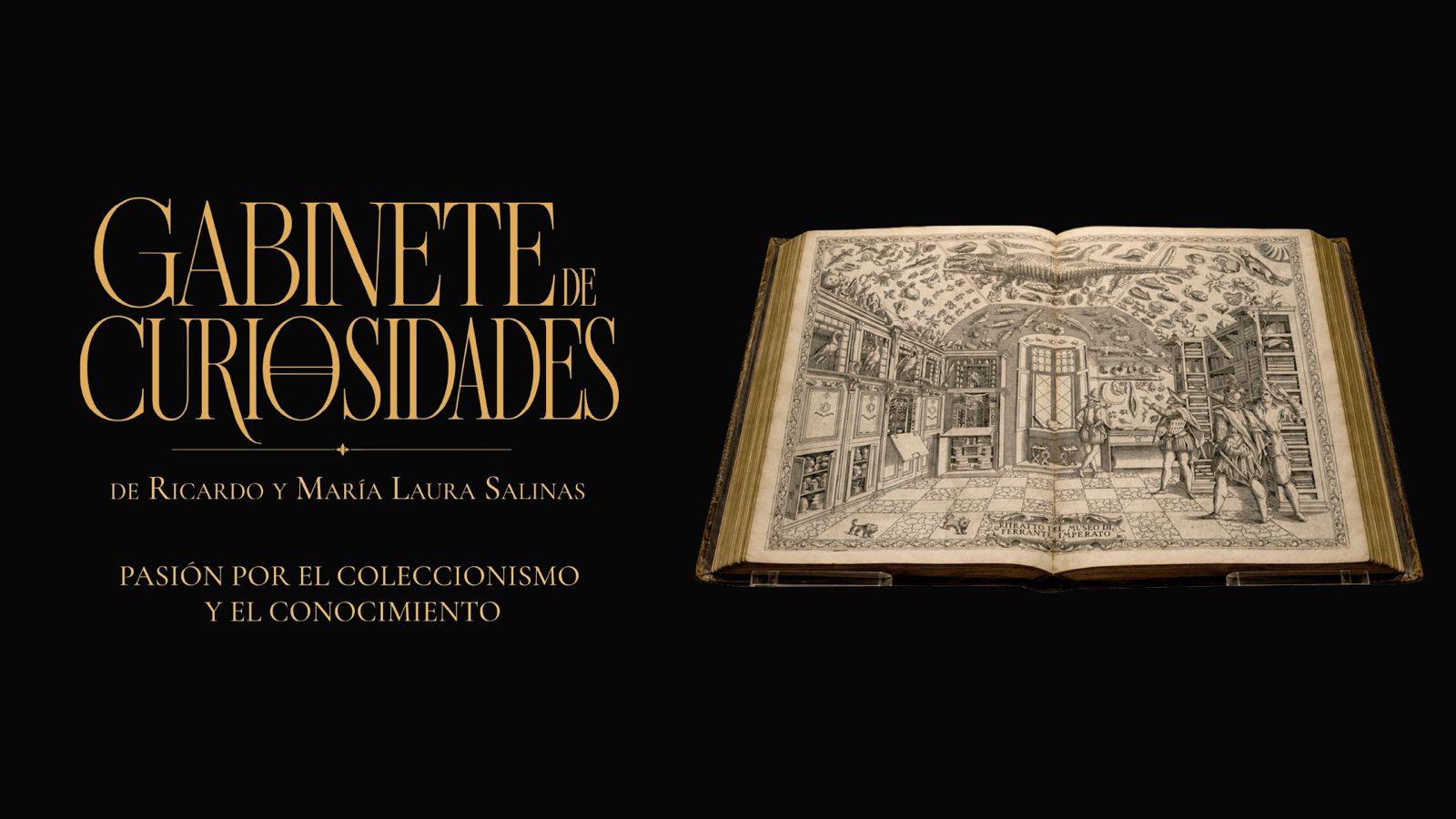Gabinete de Curiosidades